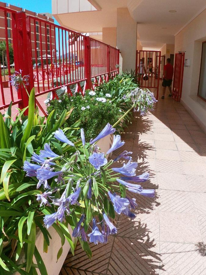Holiday Apartment Amatista كاليبي المظهر الخارجي الصورة